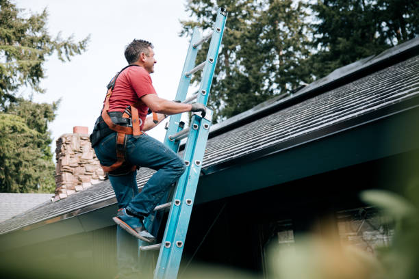 Best Chimney Flashing Repair  in Meridian Village, CO