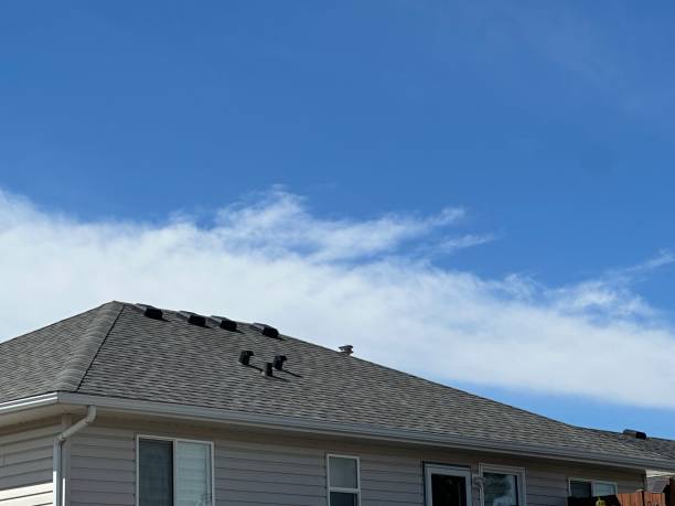 Roof Insulation in Meridian Village, CO